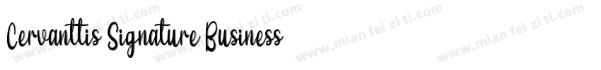 Cervanttis Signature Business Font字体转换